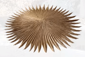 Cone Synthetic Thatch Maufactured by Darted