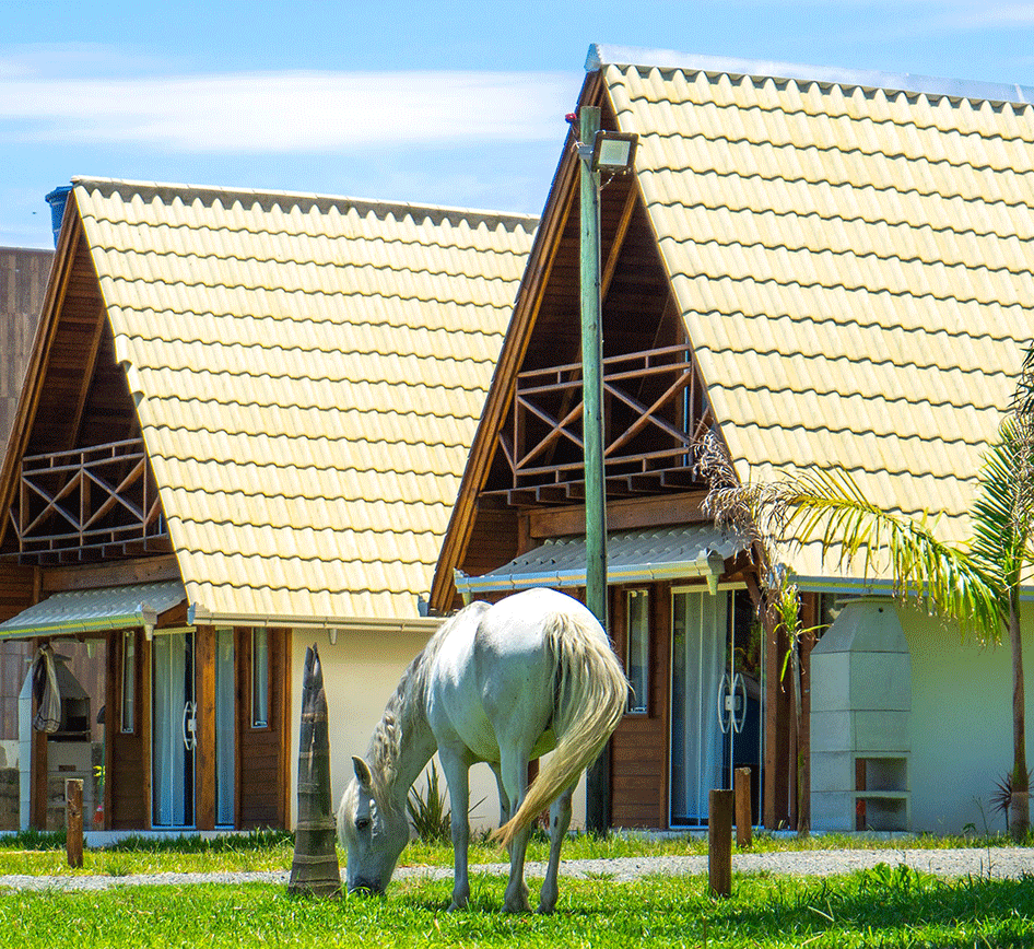 Stone Coated Steel Roof Company